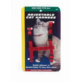 Adjustable Figure H Cat Harness