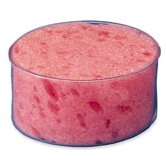 Sponge Cup Moistener, 3" Diameter, Clear Plastic