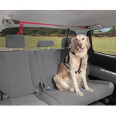 PupZip Vehicle Zipline