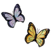 Social Butterflies Wall Charm