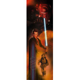 Star Wars Anakin Panel