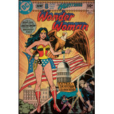 Wonder Woman Peel and Stick Comic Cover Wall Decal