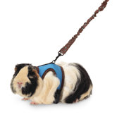 Harness with Stretchy Stroller