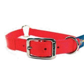 Safe-Rite Dog Collar with Tape in Orange