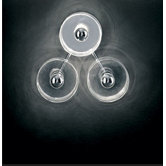 Fiore Wall / Ceiling Lamp