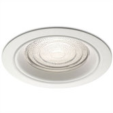 5" Line Voltage Recessed Trim for Showers with Regressed Fresnel Lens