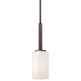1 Light Mini Pendant