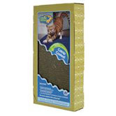Spiced Up! Catnip-Coated Cat Scratcher