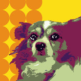 Pooch D&eacute;cor Papillion Portrait
