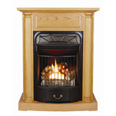 Wiindsor Dual Fuel Gas Fireplace