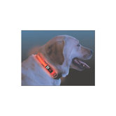 Nite Dawg LED Dog Collar