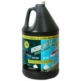 Microbe-Lift Sludge Away