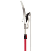 Wallace Telescoping Tree Pruner with Saw