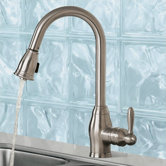 Newbury One Handle Single Hole Pull Out Spray Kitchen Faucet
