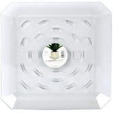 14" Square Saucer