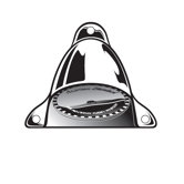 Colony Institutional Showerhead