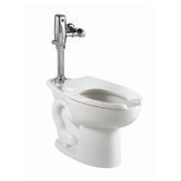 Madera Ada Toilet Bowl and Selectronic Flush Valve