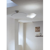Crypto Ceiling/Wall Light