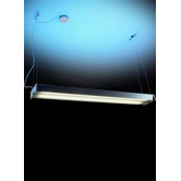 Fly Suspension Light