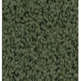 Soft Solids Pine Green Kids Rug