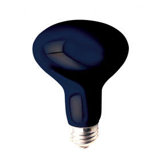 75W R25 Reflector Bulb in Black