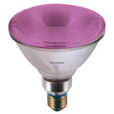 90W PAR38 Halogen Bulb in Pink