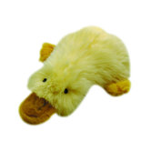 Duckworth Family Papa Webster Dog Toy