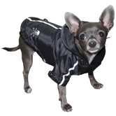 Puppagonia Rain Dog Parka in Black
