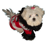 Snowman Fuzzy Dog Hoodie