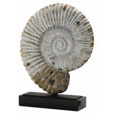 Fossil Shell Sculpture in Gray