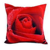Red Rose Pillow