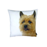 Terri Pillow