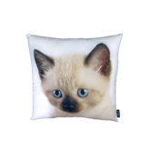 Siamese Cat Pillow