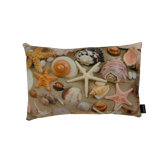 Shells Pillow