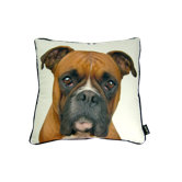 Boxer Pillow