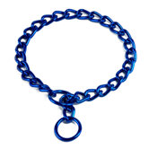 Steel Coated Dog Collar in Blue