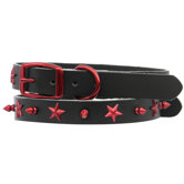 Genuine Leather Cat and Puppy Collar with Spikes and Stars