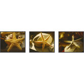 Starfish Framed Art (Set of 3)