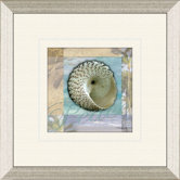 Restful Shell B Framed Art