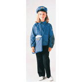 Mail Carrier Costume