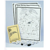 Owl Pellet Kit Classroom Kit