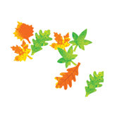 Color Diffusing Leaves