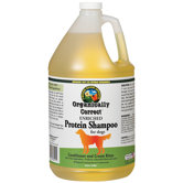 Protein Shampoo