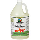 Healing Shampoo for Dogs and Cats