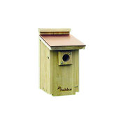 Barn Coppertop Bluebird House