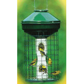 Avian Series Mixed Bird Feeder in Green