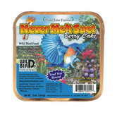 Berry Never Melt Suet Cake