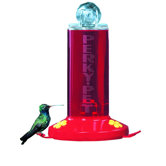 Window Mount Hummingbird Feeder