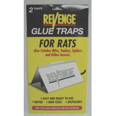 Revenge Glue Board Rat