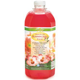Ready-To-Use Garden Song Hummingbird Food